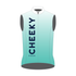 Custom Vest - Cheeky Riders