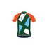 Custom Pro Jersey - Road to Bonk
